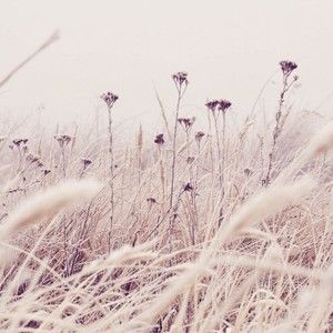 Meet your Posher, Fahm